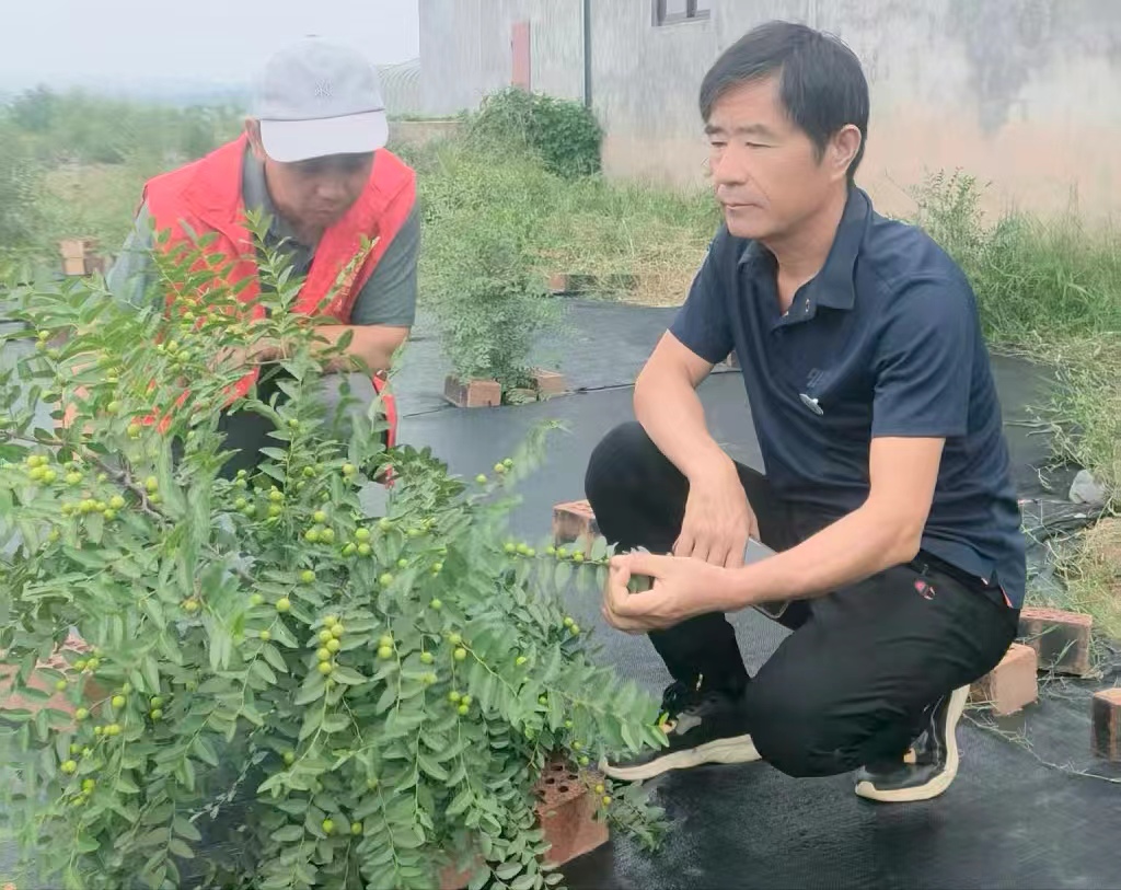 微信图片_20251021092237_128_1.jpg 微信图片_20251021092237_128_1.jpg