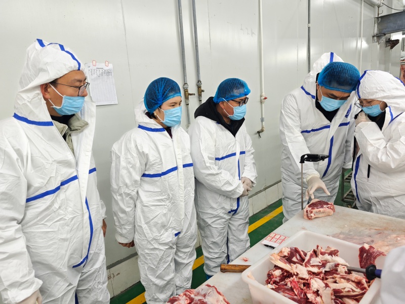 微信图片_20251231094907_210_1_副本.jpg 微信图片_20251231094907_210_1_副本.jpg